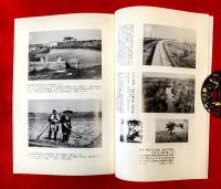 行徳塩浜と新井村の足跡