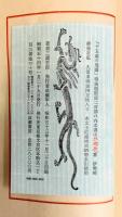 十五歳の周囲