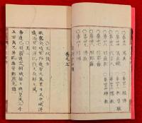 東京新誌　　：巻之上