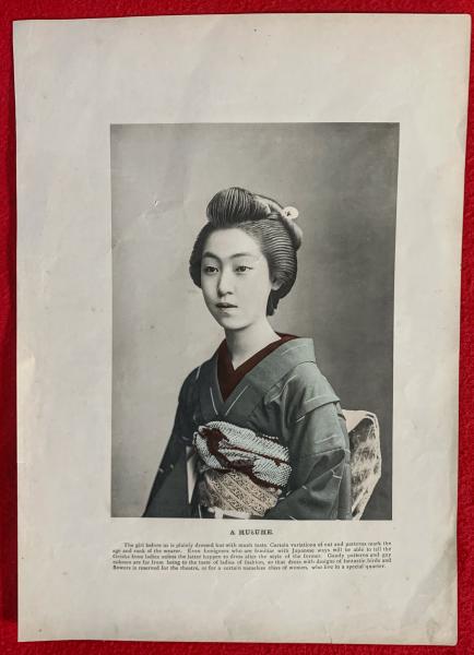 尾崎士郎書簡(尾崎士郎) / 智新堂書店 / 古本、中古本、古書籍の