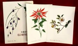 私の植物図鑑