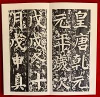菘翁臨顔真卿金天王神祠題記