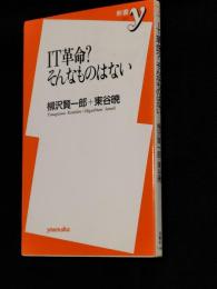 IT革命?そんなものはない
