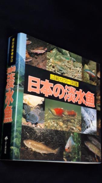 日本の淡水魚 川那部浩哉 水野信彦 編 監修 桜井淳史 ほか写真 古本 中古本 古書籍の通販は 日本の古本屋 日本の古本屋