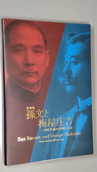 脱藩大名の戊辰戦争: 上総請西藩主・林忠崇の生涯 (中公新書
