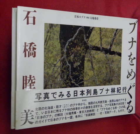 ブナをめぐる 石橋睦美 著 万葉書房 古本 中古本 古書籍の通販は 日本の古本屋 日本の古本屋
