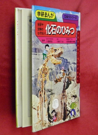 化石のひみつ 地球や生物のなぞをとく 山梨賢一 構成 川崎てつお 絵 古本 中古本 古書籍の通販は 日本の古本屋 日本の古本屋