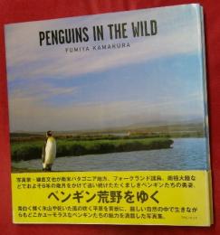 ペンギンズ・イン・ザ・ワイルド : 鎌倉文也写真集
