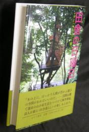 田舎の日曜日 : ツリーハウスという夢