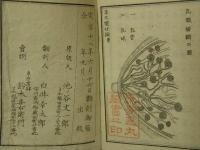 造化懐妊論