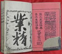 新撰普通改良用文