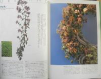 広田せい子のハーブ・アイテム33　1996年初版　NHK出版　a