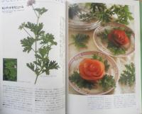 広田せい子のハーブ・アイテム33　1996年初版　NHK出版　a