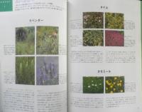 広田せい子のハーブ・アイテム33　1996年初版　NHK出版　a