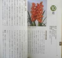 NHK趣味の園芸 シンビジューム　江尻光一　2010年18刷　NHK出版　q