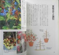 NHK趣味の園芸 リンゴ　小池洋男　2006年初版　NHK出版　q