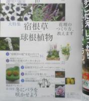 趣味の園芸　2017年10月号　大特集/宿根草・球根植物　NHKテキスト　x