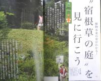 趣味の園芸　2017年10月号　大特集/宿根草・球根植物　NHKテキスト　x