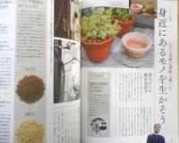 趣味の園芸　2020年6月号　特集/アジサイ　NHKテキスト　x