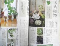 趣味の園芸　2020年4月号　特集/ハーブを育てる　NHKテキスト　y