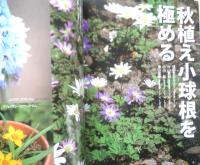もっと知りたい趣味の園芸Vol.1　NHK生活ほっとモーニング　2006年初版　q
