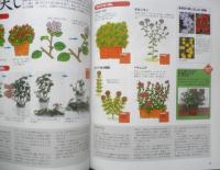 これだけは覚えたい園芸作業上達のテクニック　2001年初版　NHK趣味の園芸ガーデニング21　y