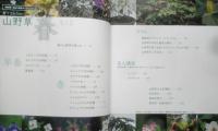 育ててみたい山野草　春　2007年初版　NHK趣味の園芸ガーデニング21　y
