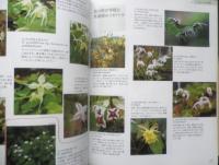 育ててみたい山野草　春　2007年初版　NHK趣味の園芸ガーデニング21　y