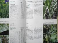 庭を明るくする斑入り植物　2007年初版　NHK趣味の園芸ガーデニング21　y