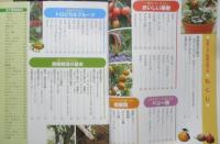 失敗しない果樹の育て方　庭植え・鉢植え　2011年初版　西東社　g