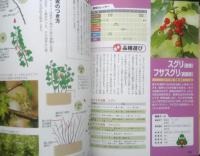 失敗しない果樹の育て方　庭植え・鉢植え　2011年初版　西東社　g
