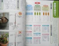 失敗しない果樹の育て方　庭植え・鉢植え　2011年初版　西東社　g