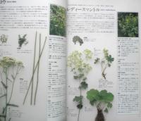 ハーブ図鑑110　レスリー・ブレンネス　1993年3刷　日本ヴォーグ社　g