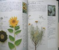 ハーブ図鑑110　レスリー・ブレンネス　1993年3刷　日本ヴォーグ社　g