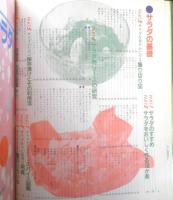 デラックス版 サラダ百科　昭和58年初版　主婦と生活社　3