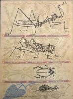 虫のわらべうた　こどものとも365号　1986年初版　斎藤たま採録/瀬川康男画　福音館書店　b