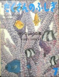 サンゴしょうの海　月刊たくさんのふしぎ28号　1987年初版　本川達雄/松岡達英　福音館書店　b