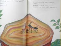 ビスケットのかけらがひとつ　こどものとも363号　1986年初版　こだまともこ/織茂恭子　福音館書店　c