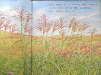 すすき　かがくのとも211号　1986年初版　菅原久夫/白根美代子　福音館書店　3