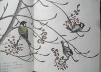 ななかまど　かがくのとも214号　1987年初版　あきやまじゅんこ　福音館書店　3