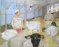 おとうさんはひつじかい　月刊かがくのとも272号　1991年初版　白根美代子　福音館書店　3