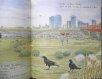 カラスがまちにすんでいる　月刊かがくのとも260号　1990年初版　唐沢孝一/竹井秀男　福音館書店　3