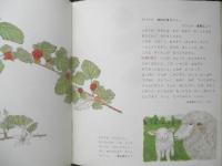 きいちごだより　月刊かがくのとも242号　1989年初版　岸田衿子/古矢一穂　福音館書店　3