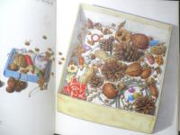 ぼくのわたしのたからもの　月刊かがくのとも221号　1987年初版　稲田務　福音館書店　3