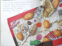 ぼくのわたしのたからもの　月刊かがくのとも221号　1987年初版　稲田務　福音館書店　3