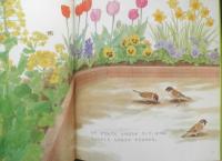 なのはなみつけた　月刊かがくのとも252号　1990年初版　ごんもりなつこ　福音館書店　3