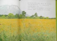 なのはなみつけた　月刊かがくのとも252号　1990年初版　ごんもりなつこ　福音館書店　3