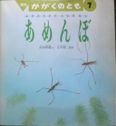 あめんぼ　月刊かがくのとも280号　1992年初版　吉谷昭憲/立川周二　福音館書店　3