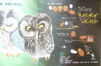 フクロウのよるはおおいそがし　月刊かがくのとも278号　1992年初版　あべ弘士　福音館書店　3