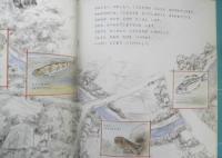 よしのぼりのぼうけん　月刊かがくのとも255号　1990年初版　林公義/吉崎正巳　福音館書店　3